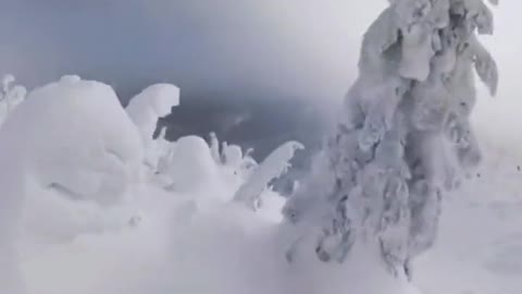 Don't be shocked by what you see