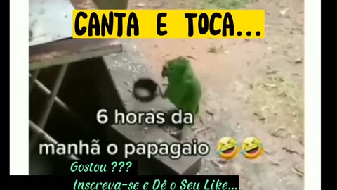Canta e Toca...