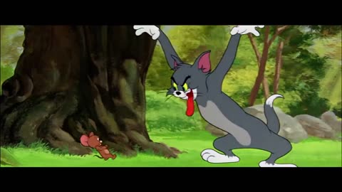 Tom and Jerry in Cartoon Picture