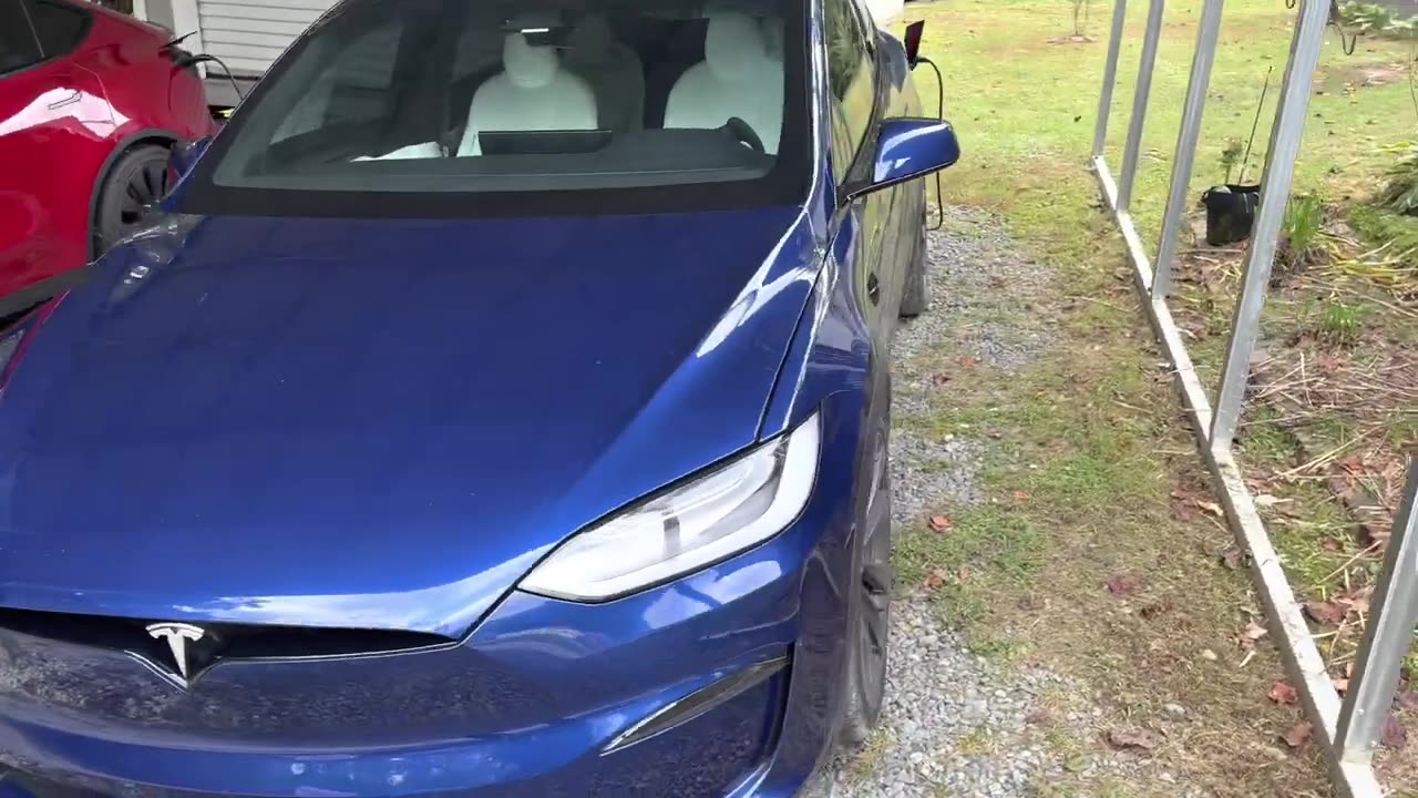 The Model Y is back! Insurance Fraud?!