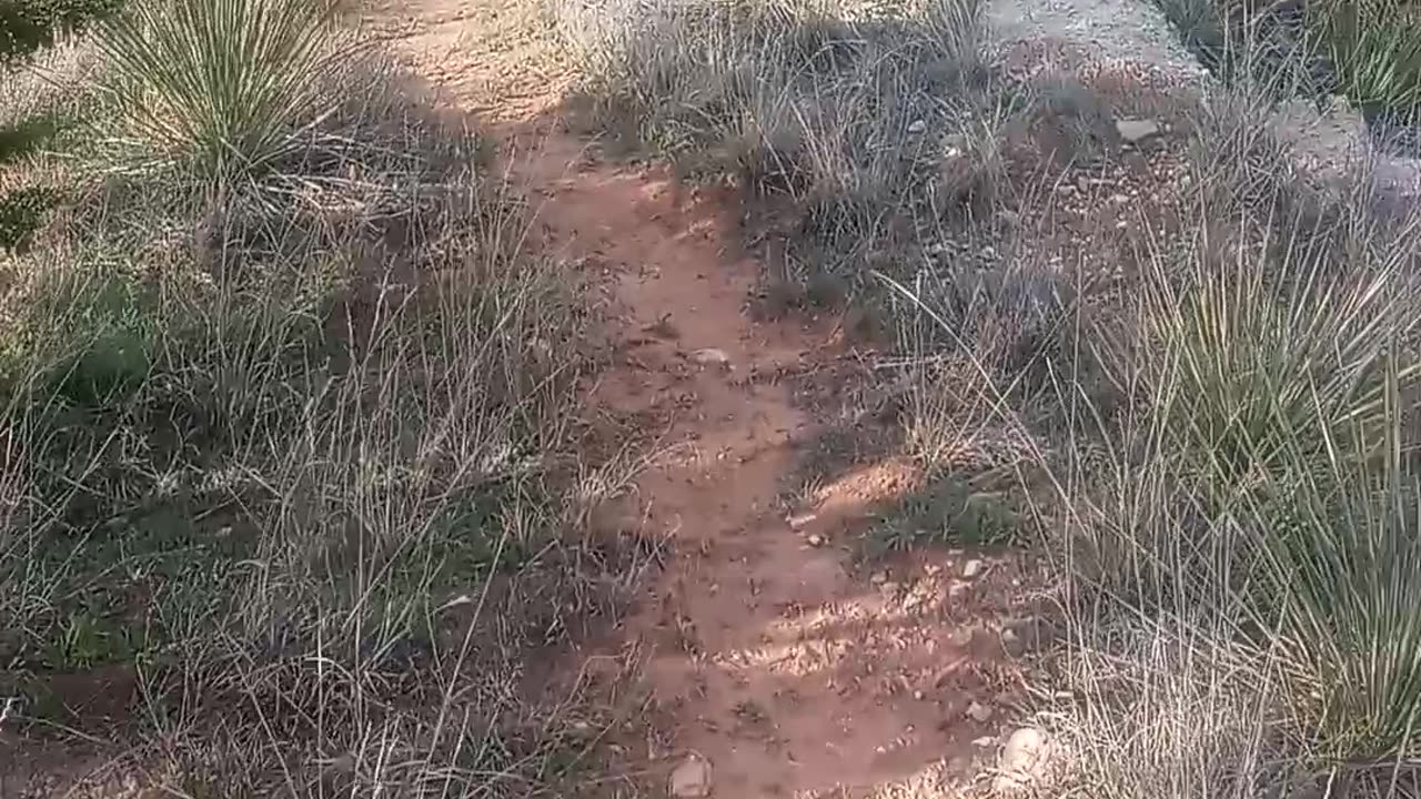 Hiking homemade trail