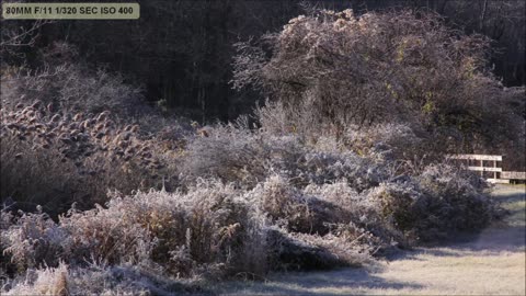 HOAR FROST with the Canon T1i and EF-S 15-85mm ZOOM.