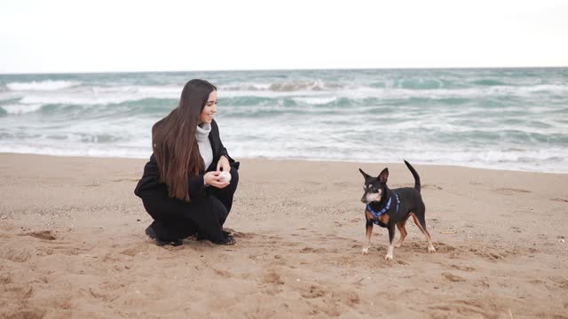 A Woman and Dog Playing Fetch with a Ball at the Seashore | Funny Video