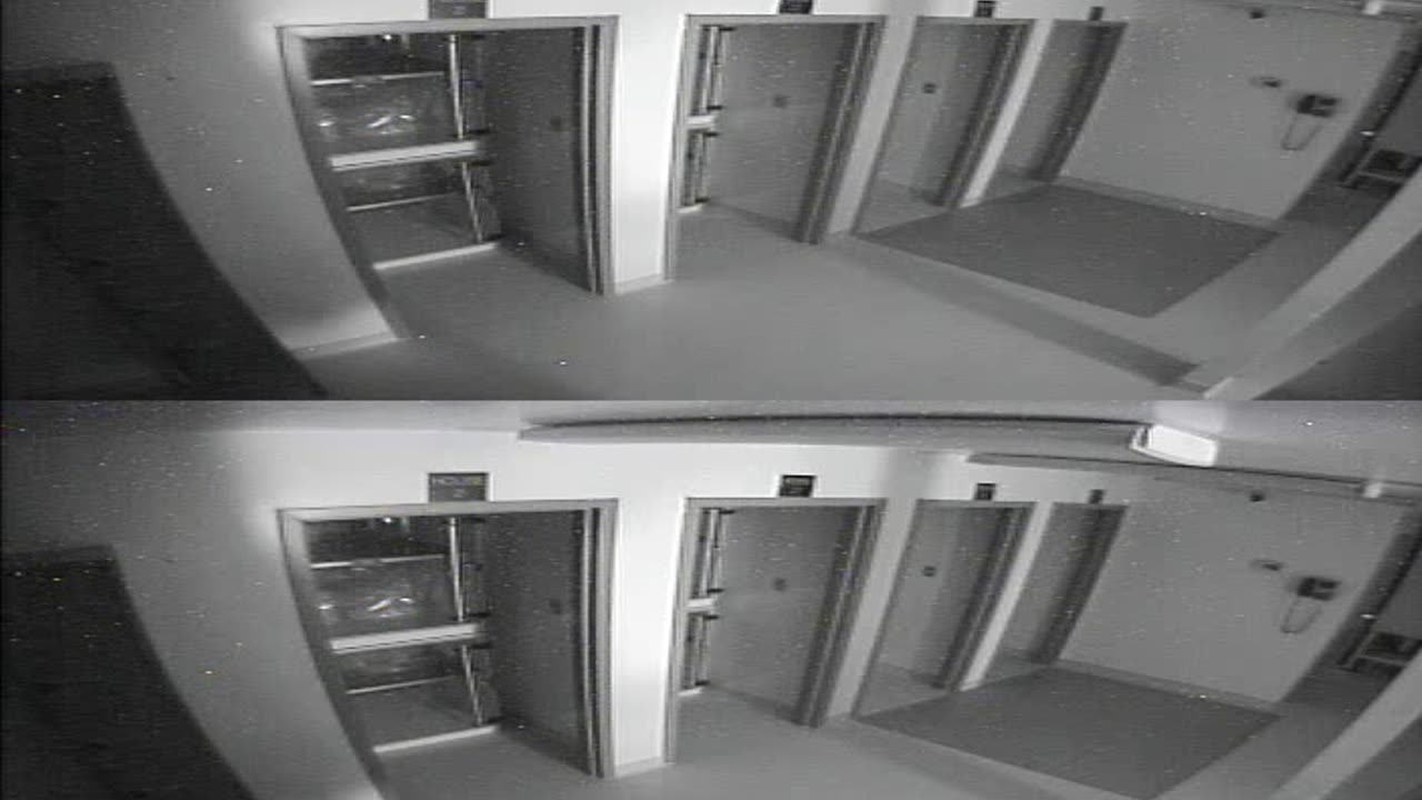 1704CRIB01CribAnalysisArea_2021-01-06_00h20min01s203ms.mp4
