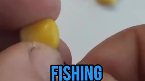 Fishing tips&tricks
