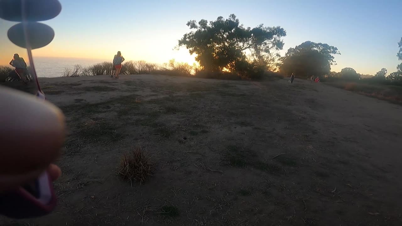 SOPHIE ADVANCED LEASH WORK