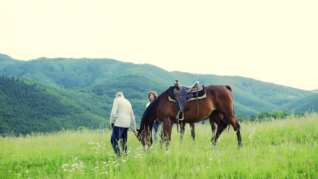 A happy senior couple holding horses grazing on a pasture