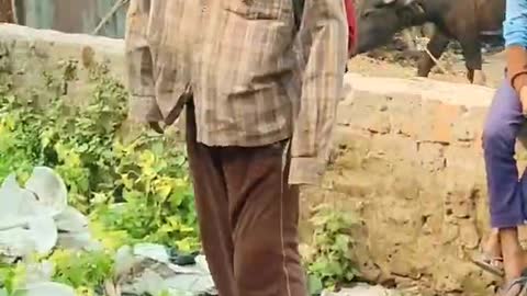 Pushpa Full Movie 🍿 Comady Cuts😂😂