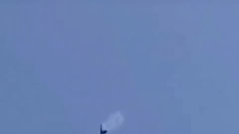 Falcon catches prey mid flight