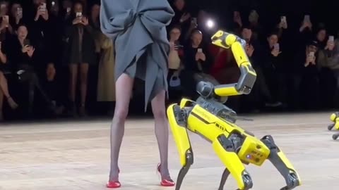 V-12