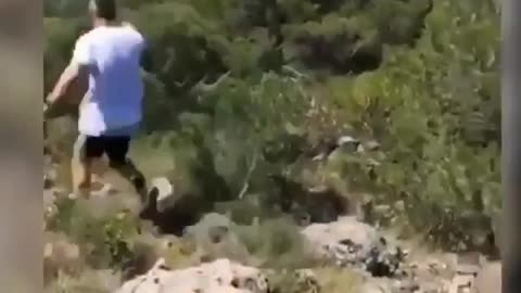 Funny Video 2022 N10