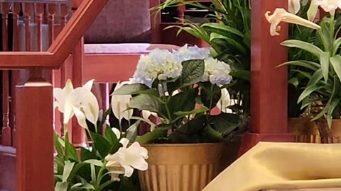 I Know That My Redeemer Lives! #piano #easterhymns #christianhyms #catholicfaith