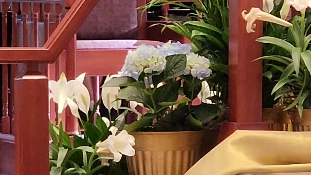 I Know That My Redeemer Lives! #piano #easterhymns #christianhyms #catholicfaith