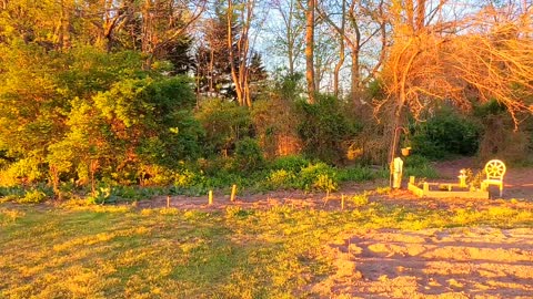 Sounds Of Nature