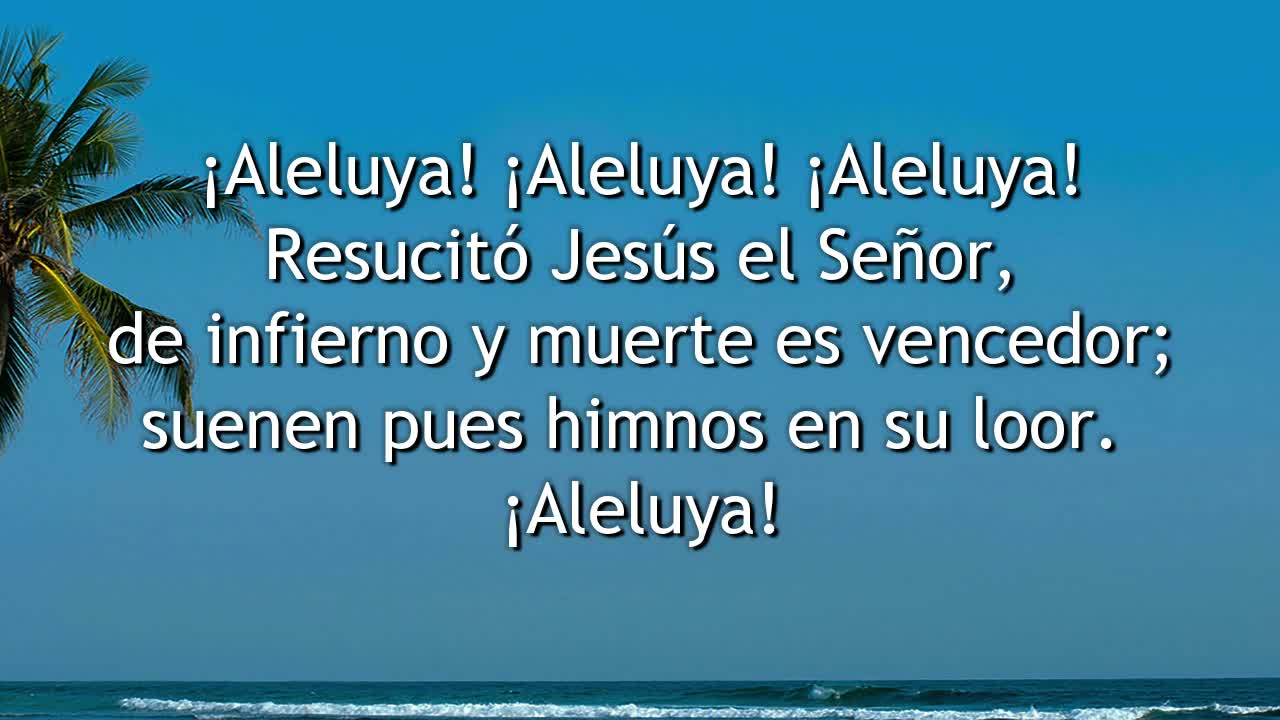 219 - Resucitó Jesús el Señor