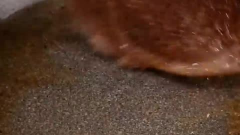 Cooking A5 Wagyu | follow me |