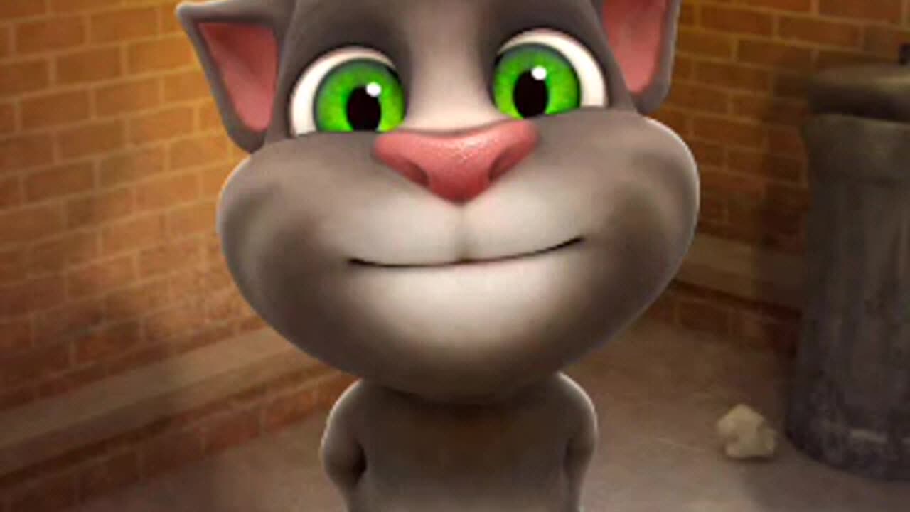 Tom chat