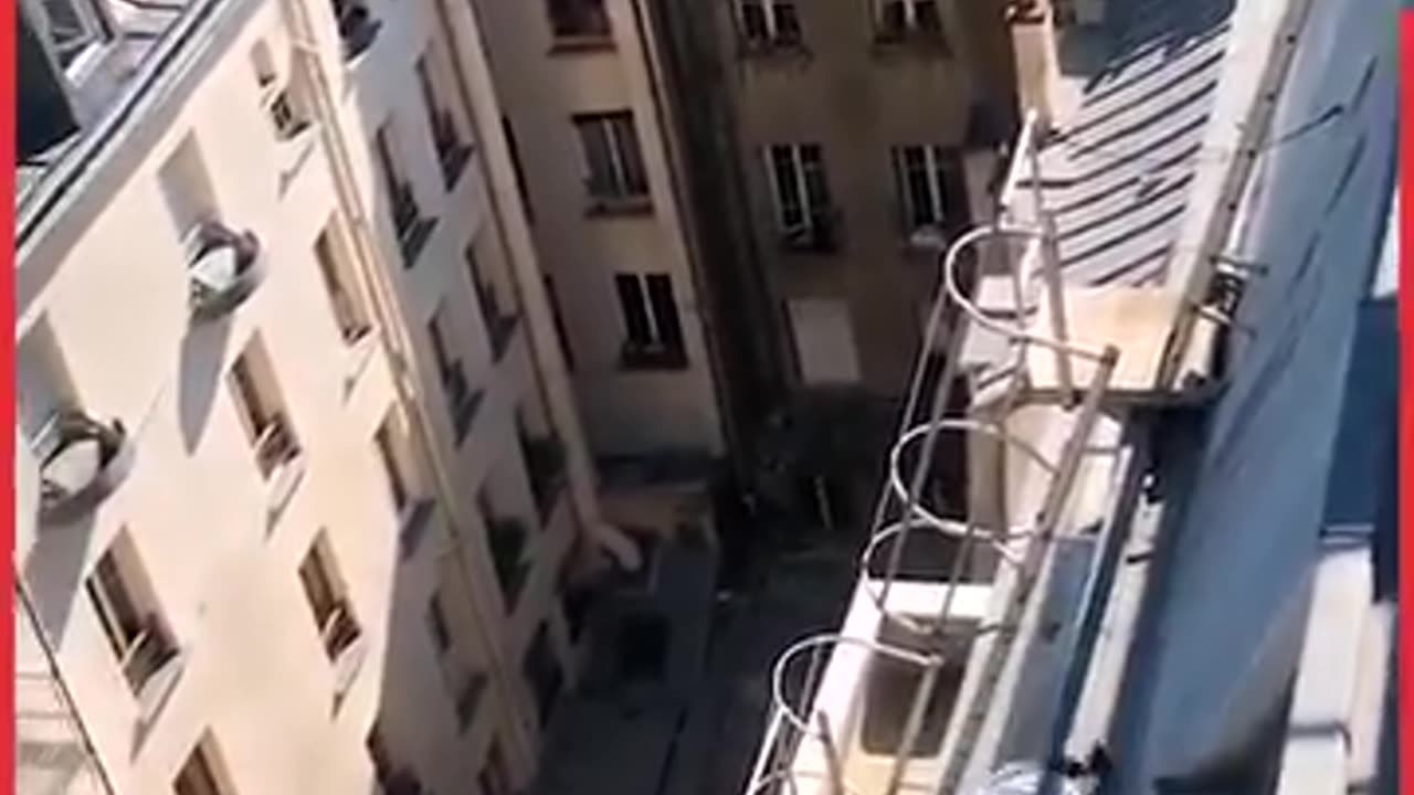 I Fainted Watching This