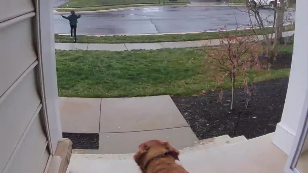 Front Door Camera Catches Family's Excitement