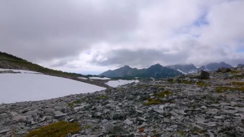 Mount Rainier National Park - Nature Relax Video, Summer Scenery