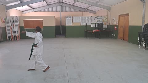 B33 - Joayden Filander - Green - Pinan Nidan