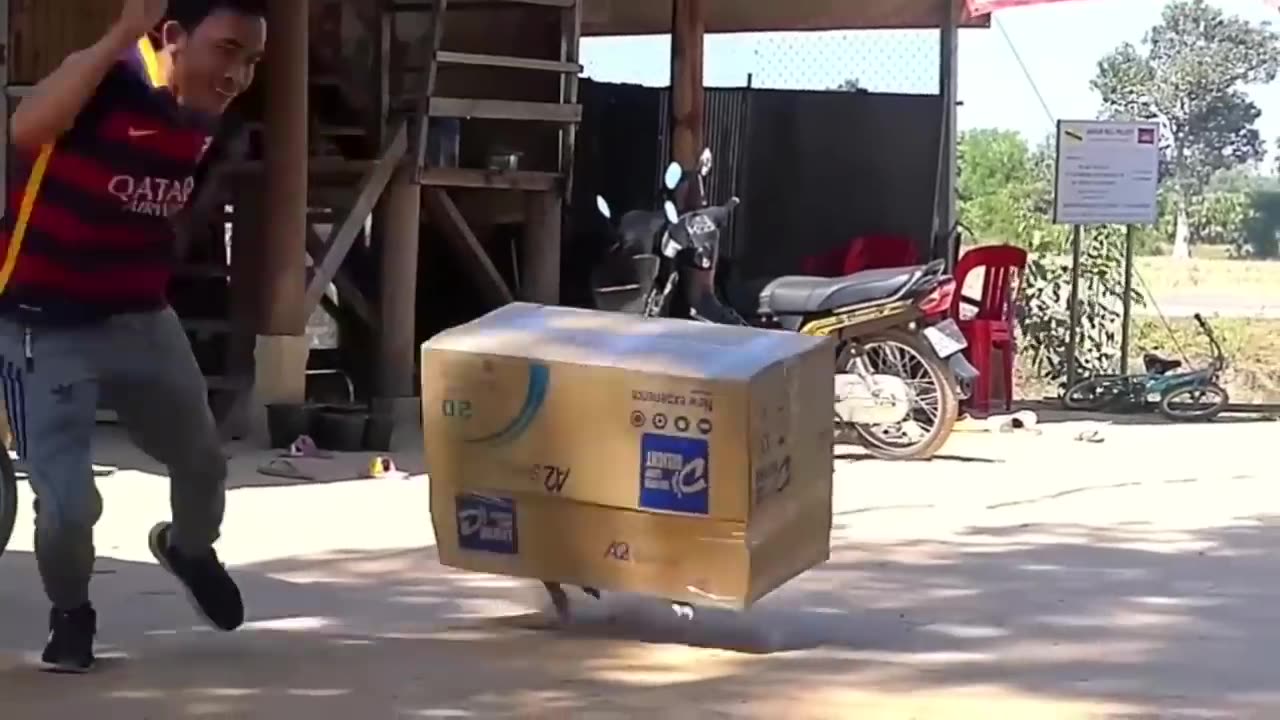 Troll Prank Dog Funny & fake Lion and Fake Tiger Prank To dog & Huge Box Prank to dog