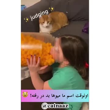 The cat is surprised that the baby is eating