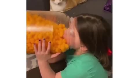 The cat is surprised that the baby is eating