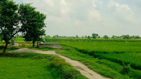 My beautiful village