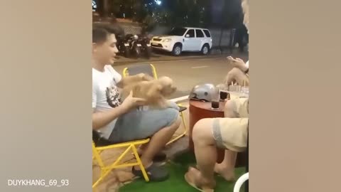 Don't try to mess with these DOG - Funny DOG Videos 2023