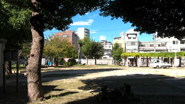 4K Japan street walk Osaka 2022 (why do they cut the trees?)