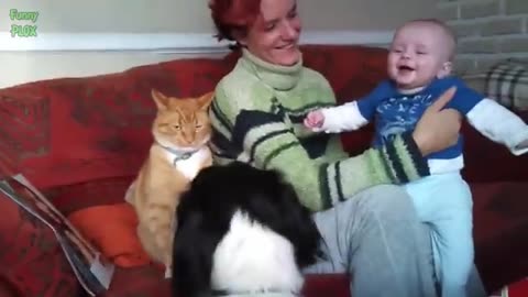 Funny Babies Laughing Hysterically at Cats Compilation