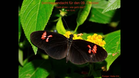 Sonntagsandacht für den 09. Oktober