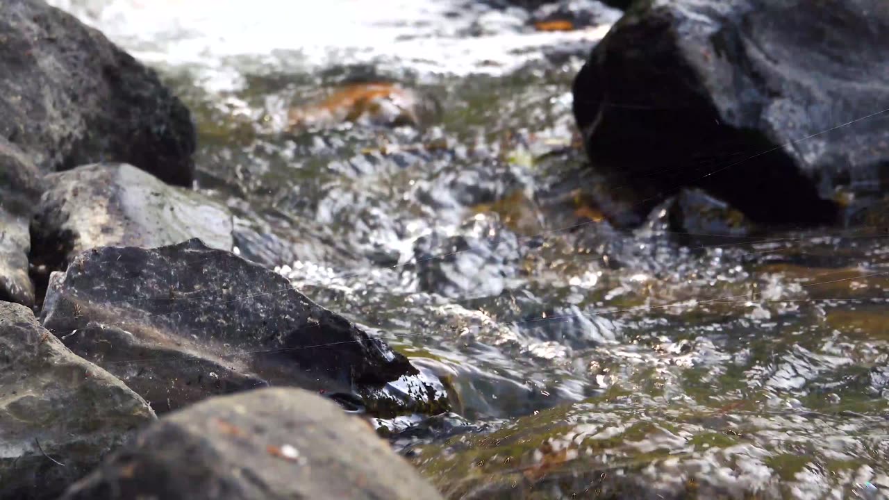 Beautiful River video for editing for photoshop and primere pro
