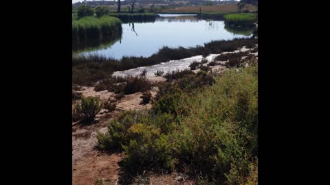 Might Murray river flood 2023