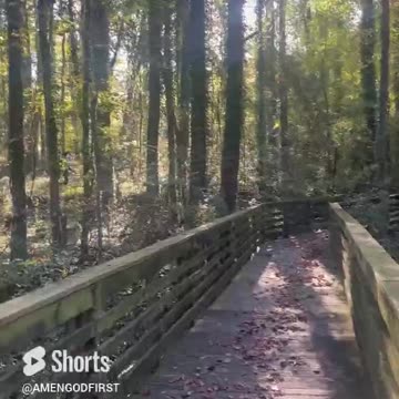 Beautiful Sun Light ☀️