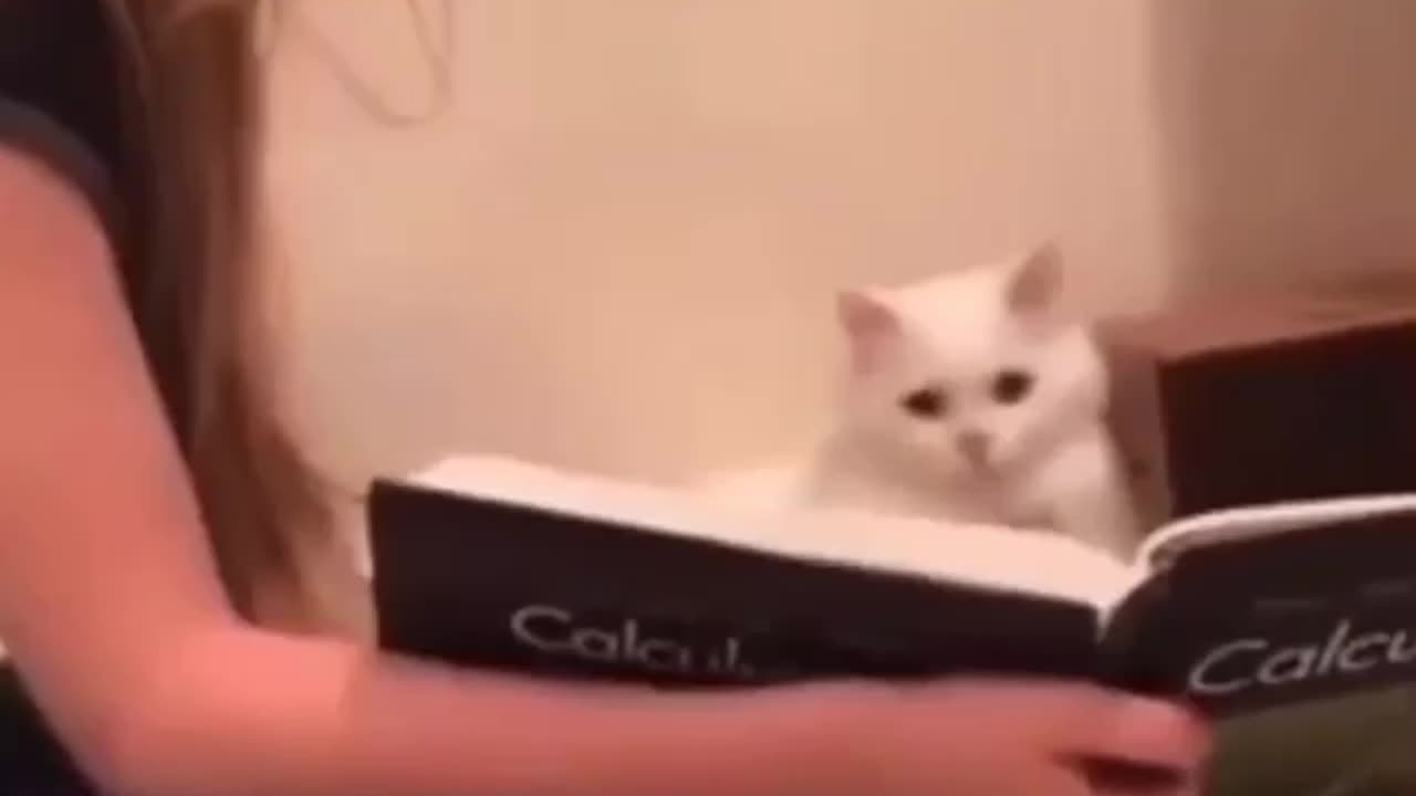 Listen, what is this thing doing?