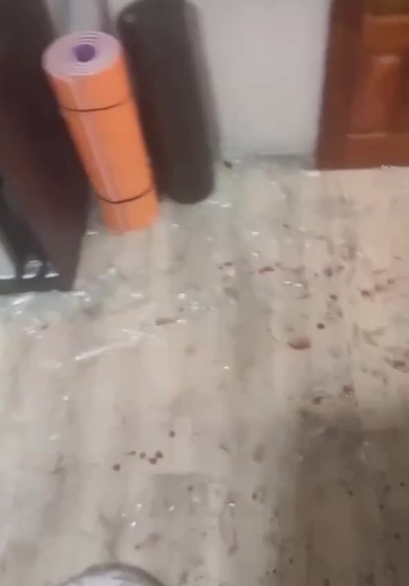 A very shocking video designed for adults with strong nerves!