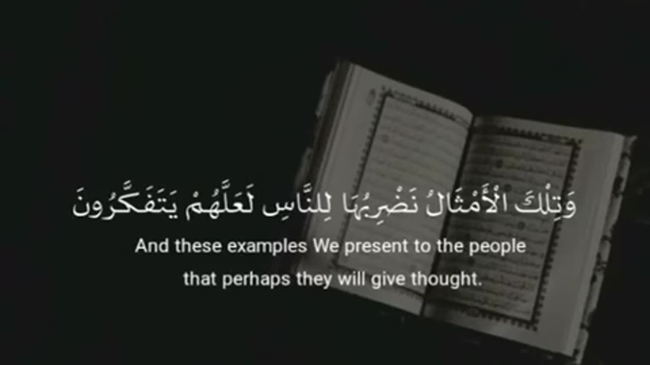 Islamic cases