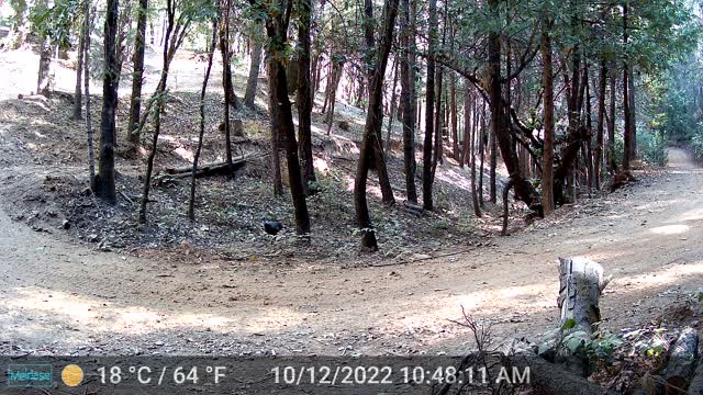 Turkey Trot at Alex's