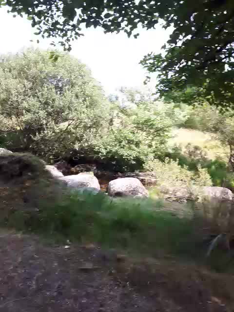 Coffee time. Riverside. Aug 2022