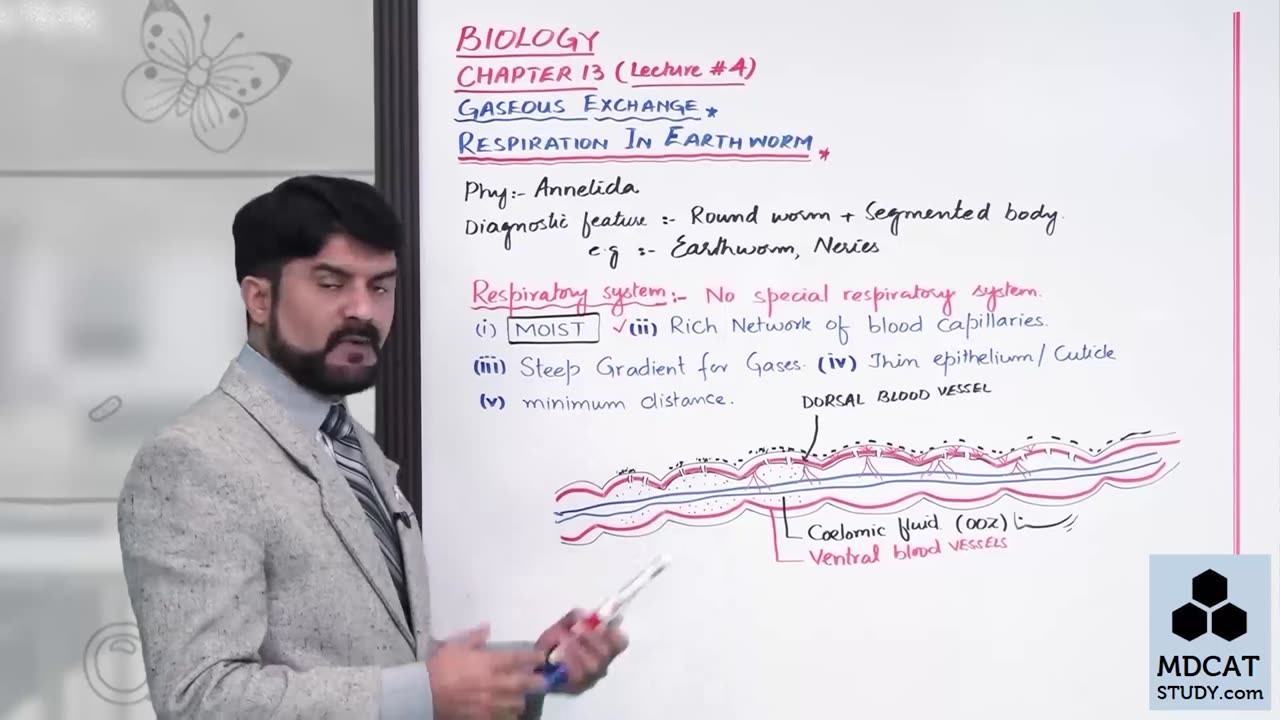 LEC#4 RESPIRATION IN EARTHWORM AND COCKROACH