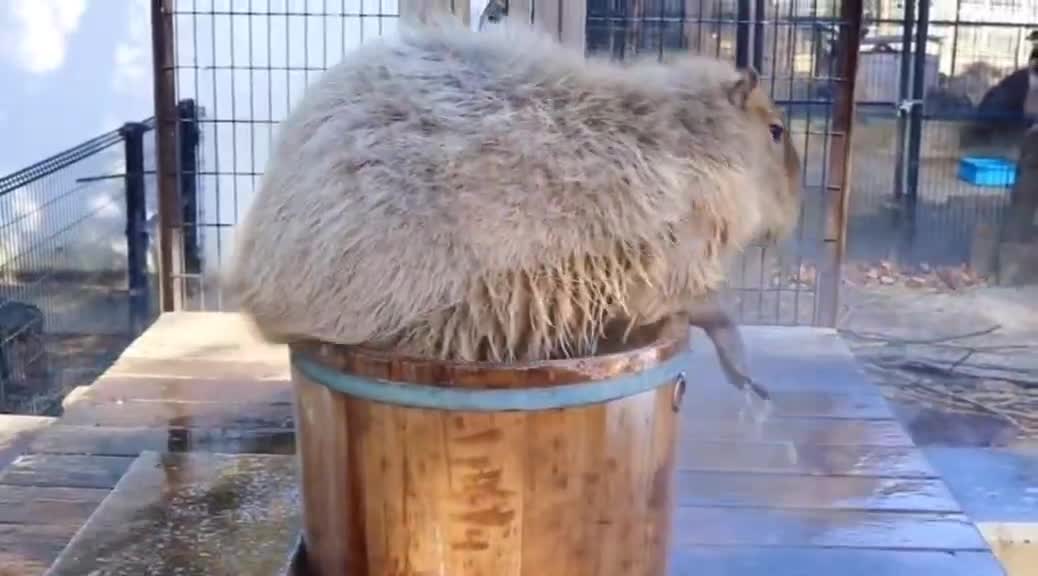Take a bath