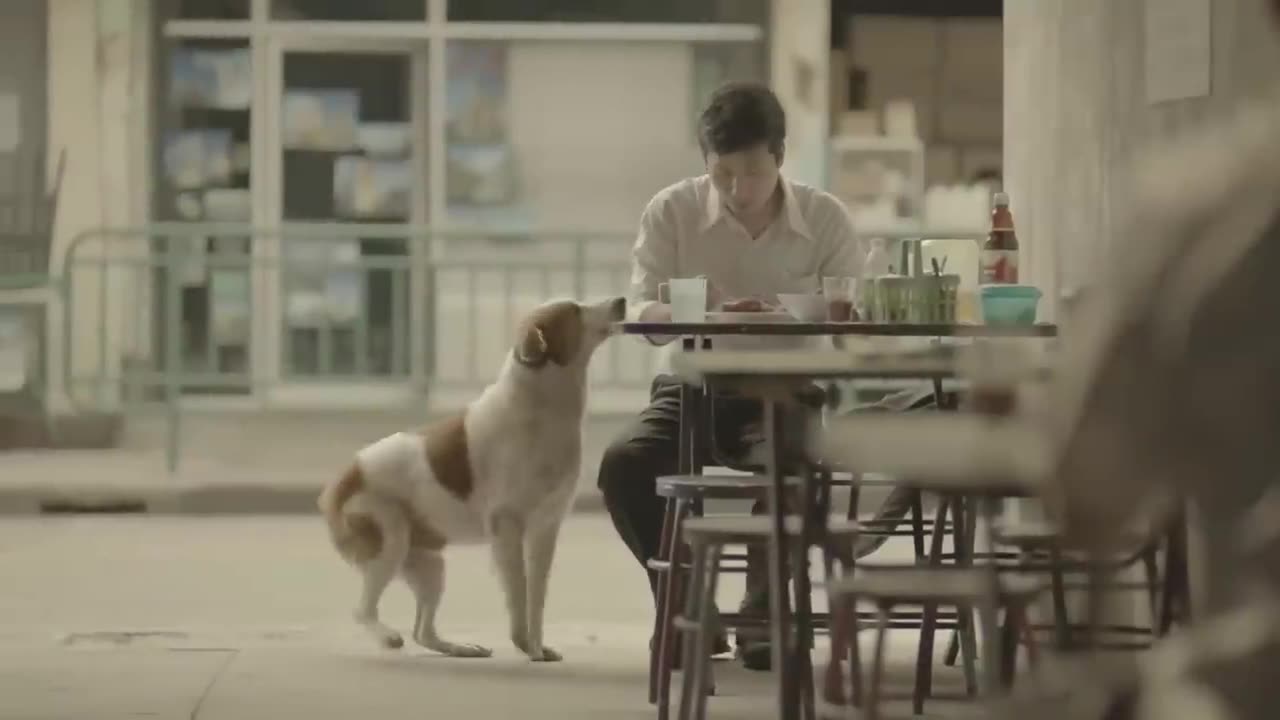 Winner of best advertising