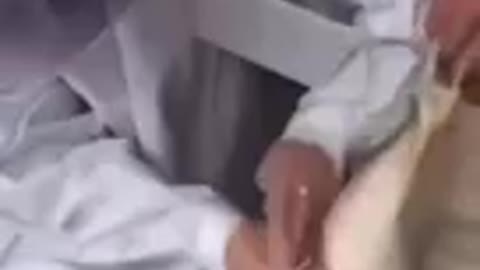 AREAS SHUTING DOWN- THESE PEOPLE ARE NUT CASES