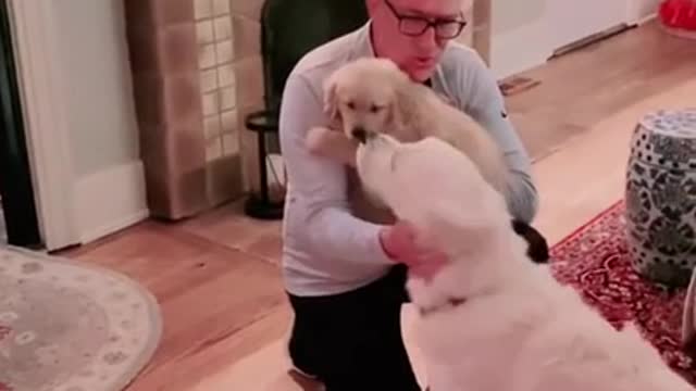 I brought you a gift, new friend!