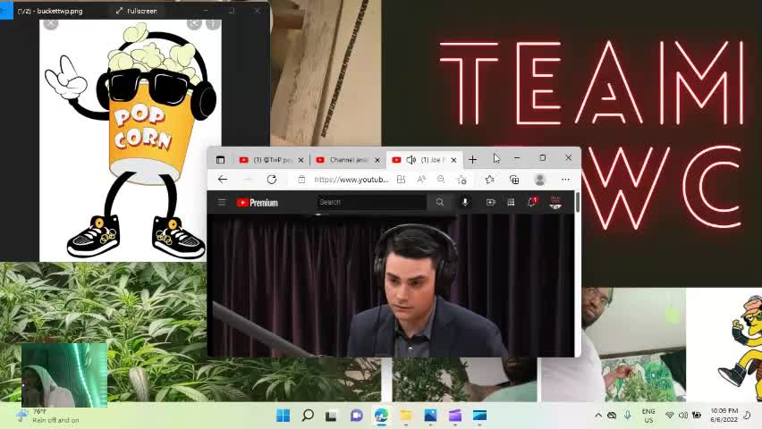 joe rogan on cannabis