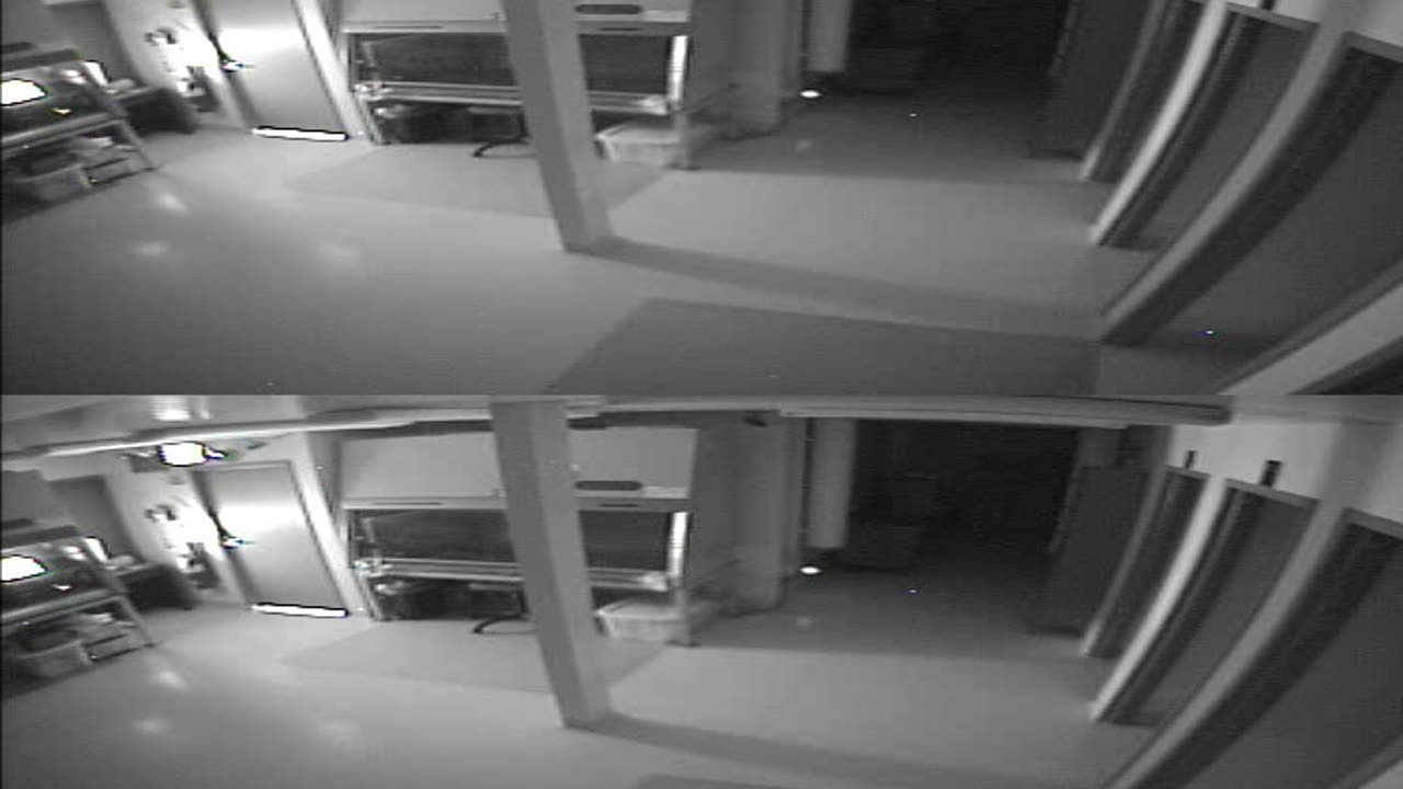 1702CRIB01CribAnalysisArea_2021-01-06_06h40min01s877ms.mp4