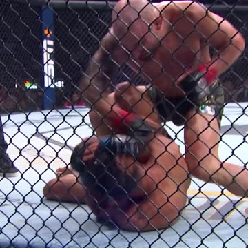 VOLKANOVSKI VS RODRIGUEZ _UFC #294 FIGHTER 👊