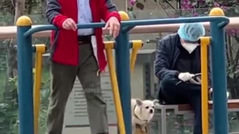 Doggo works out together with his hooman friend